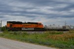 BNSF 8799 Roster shot